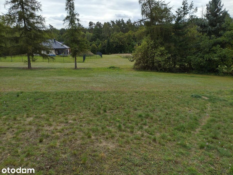 Działka budowlana 4000 m² w spokojnej okolicy