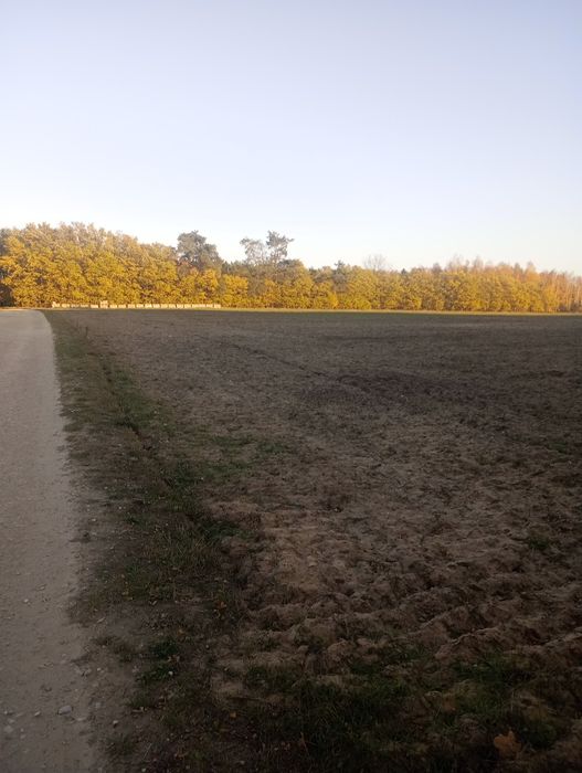 Działki budowlane. Miejscowy plan zagospodarowania przestrzennego.