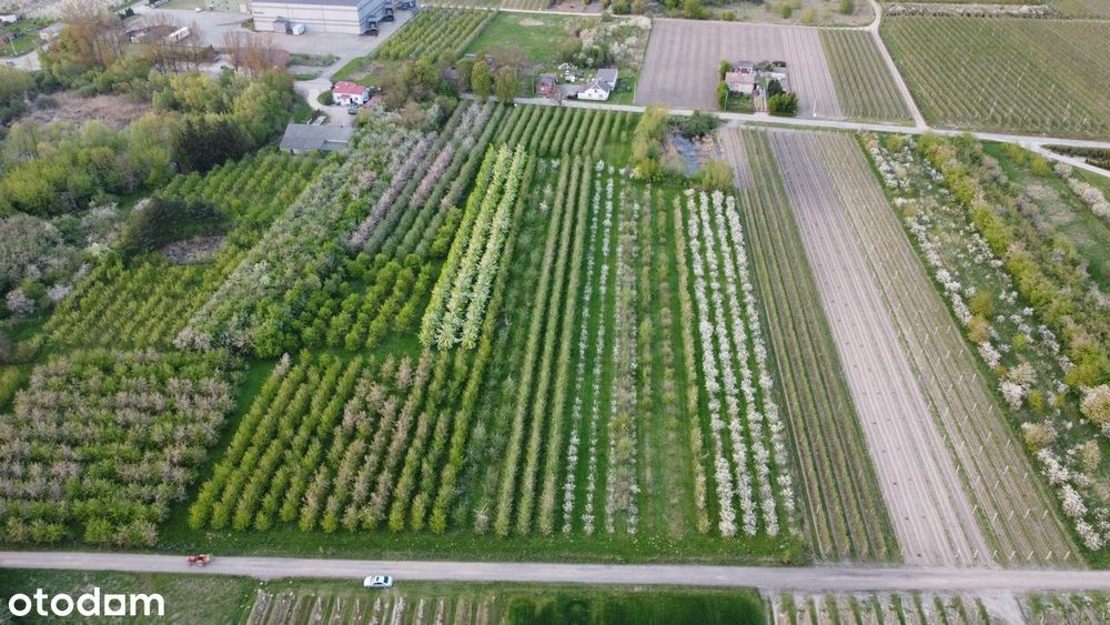 4800 m² możliwości – zbuduj dom lub podziel na mniejsze działki!