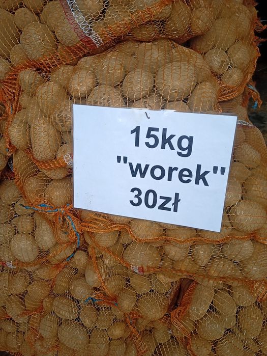 Ziemniaki jadalne Vineta