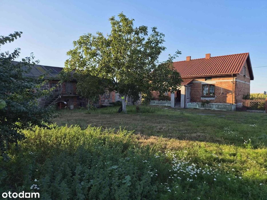 Dom – Kaźmierków, powiat gostyniński - Widok 4