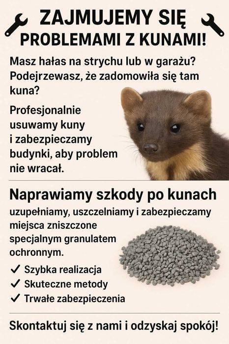 Odstraszanie kun i naprawa szkód po nich