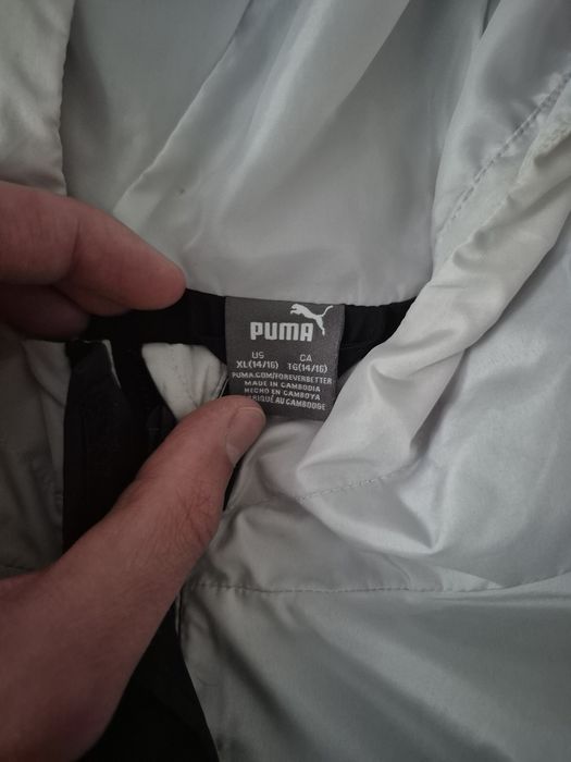 Вітровка Puma пума