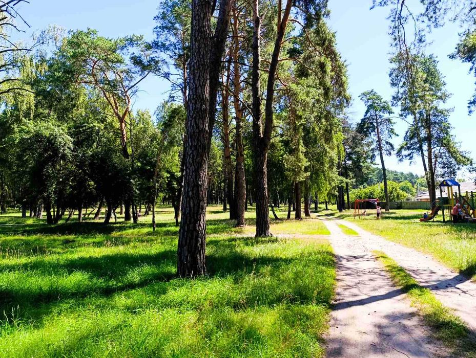 Дача біля лісу, просто поруч - річка Білоус !