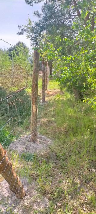 19zł.Ogrodzenie z Siatki Leśnej, usługi rębakiem, wycinka drzew