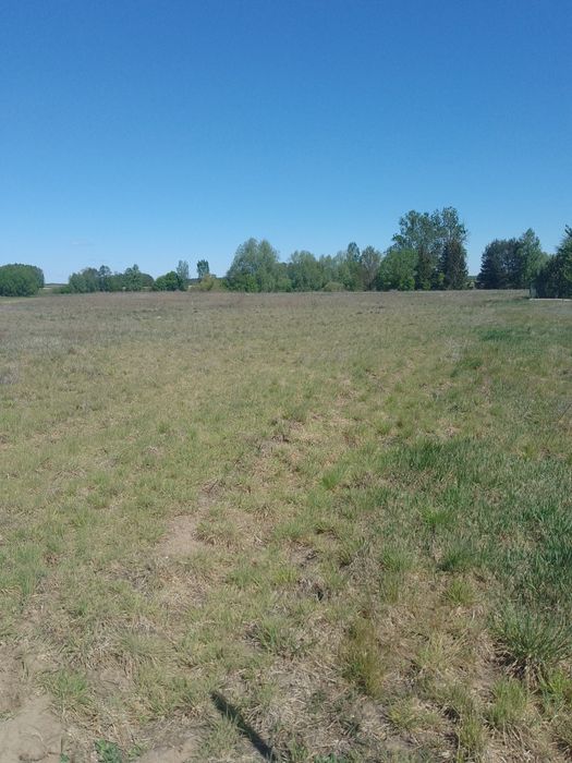 Sprzedam działkę budowlaną 1700 m - Widok 3