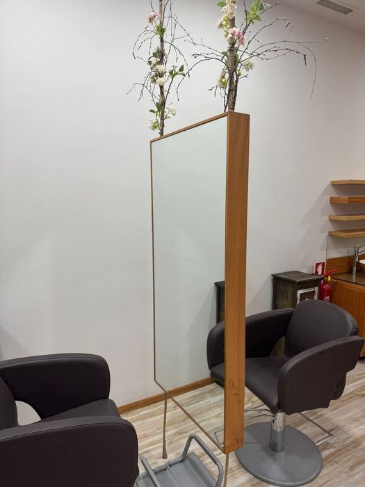 Dual Mirrors with Power Outlet64585825647234121