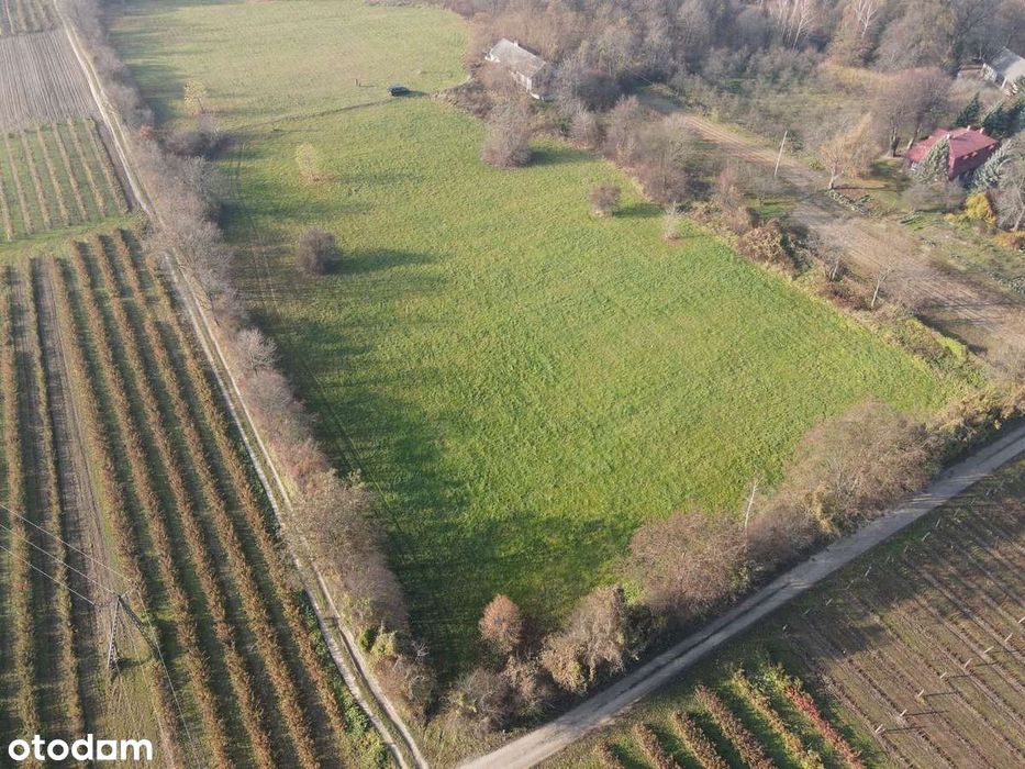 Działka 3,5 ha przy Wąwozie 3 km od Rynku w Kazimierzu część budowlana