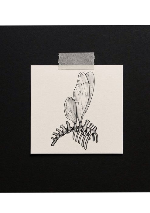 Шукаю модель для татуювання безкоштовно!