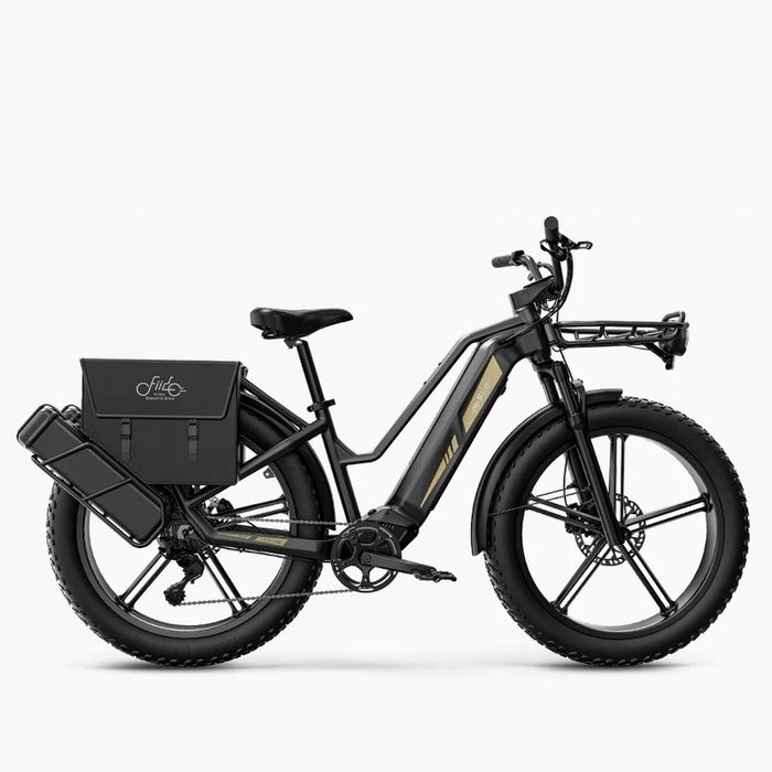 Rower Elektryczny Fiido Titan aluminium 26 " szary