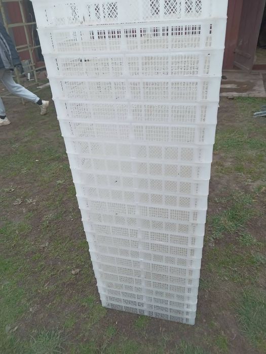 Ящики для малини/лохини/клубники