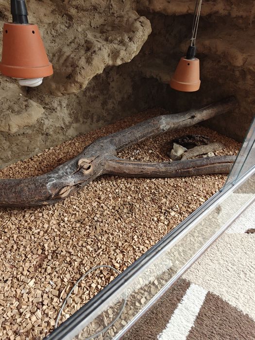 Duże terrarium 125x82x82