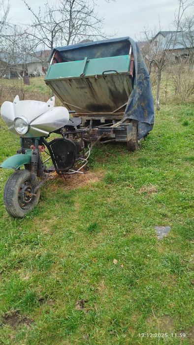 Продам 2 муравей