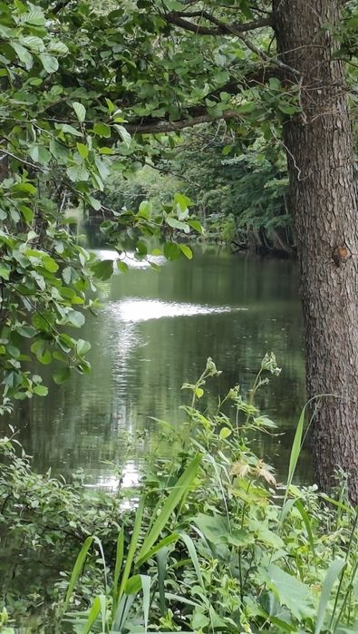 Działka nad kanałem Iławskim z warunkami zabudowy - Widok 5