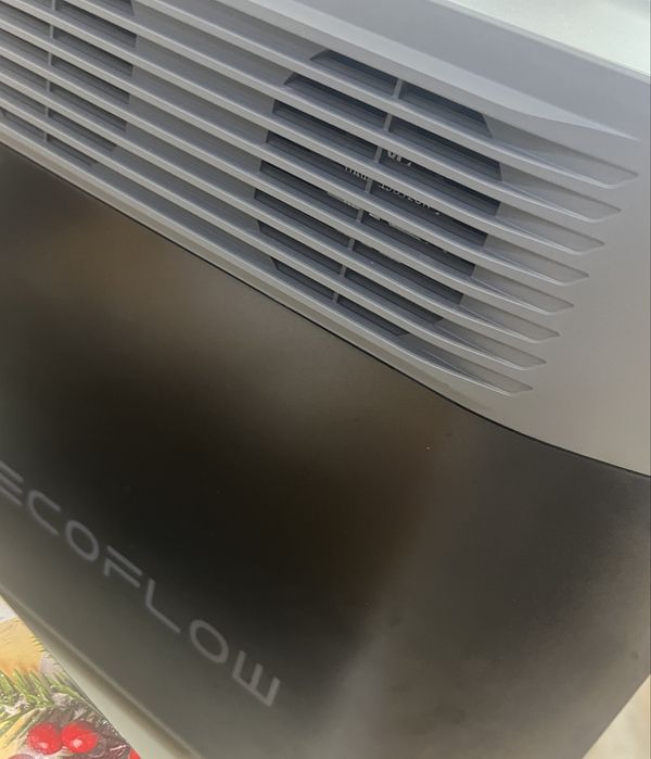 Зарядна станція EcoFlow DELTA 2 (ZMR330-EU)
