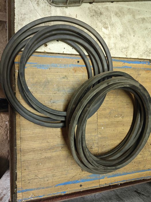 Pas klinowy Sanok  Harvest Belts Cl 628991 0    B/H-6650