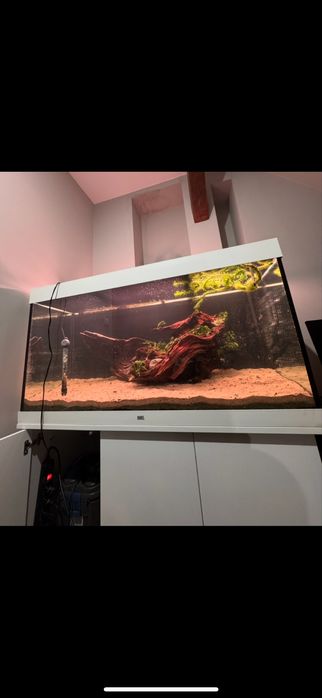 Akwarium juwel rio 350 pełen zestaw