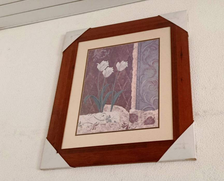 Vários quadros novos
