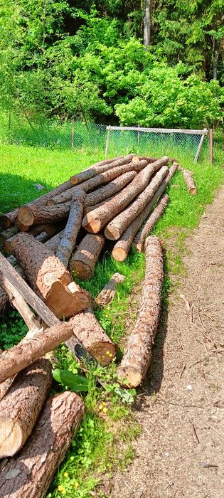 Drewno Opałowe Modrzew Sosna na metry