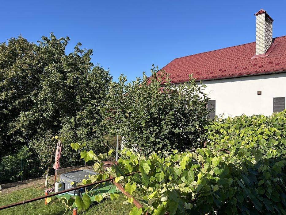 Продається будинок в дуже гарній локаціі ,з велик та гарним  на  місті