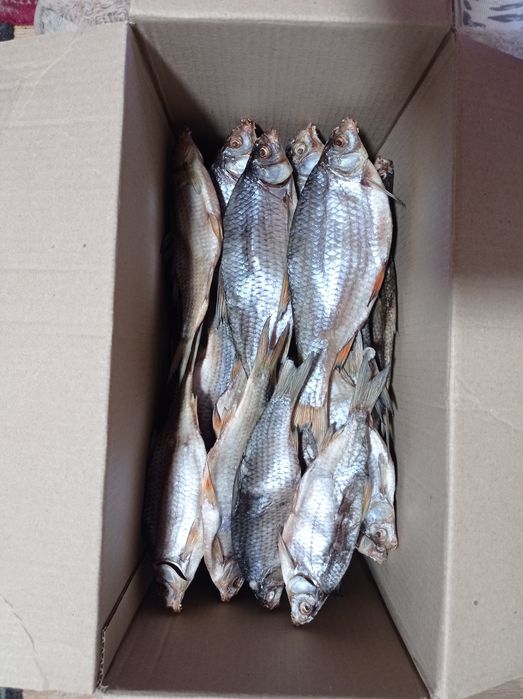 Риба сушена.Таранка. Плітка. Плотва