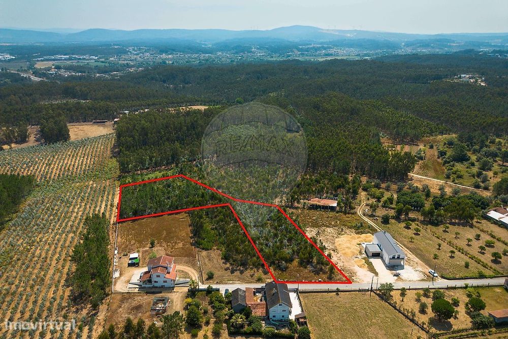 Terreno  para venda — Almagreira, Leiria