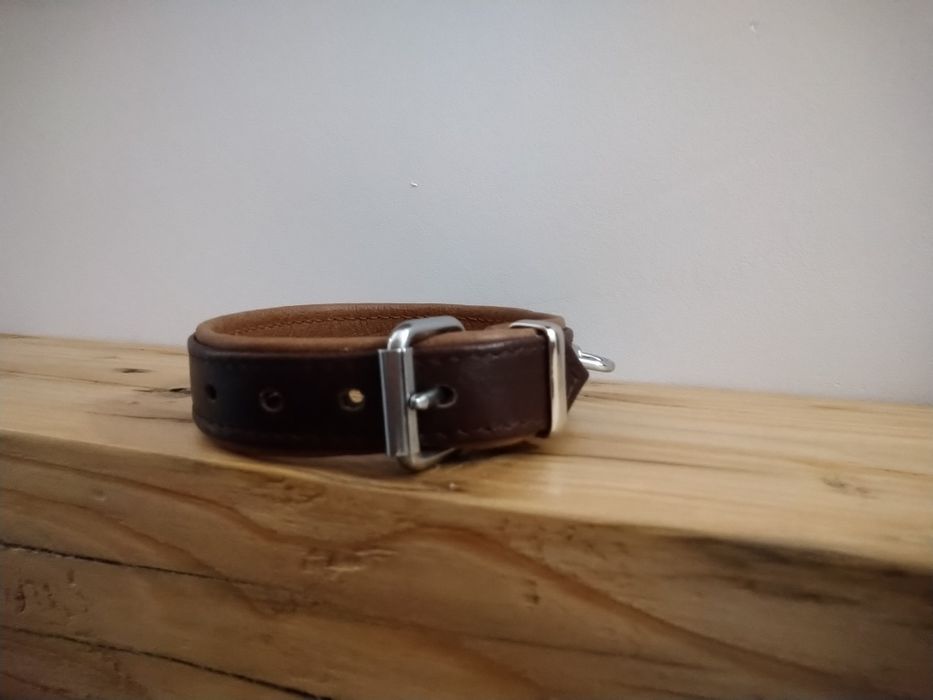 Tropowa obroża dla psa mocna