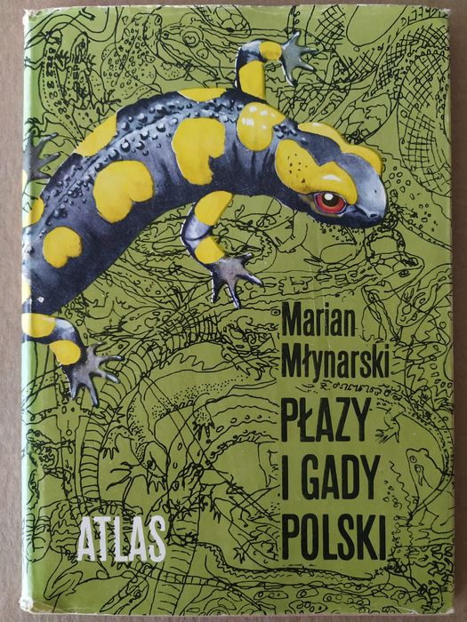 Płazy i gady Polski Młynarski Marian album atlas