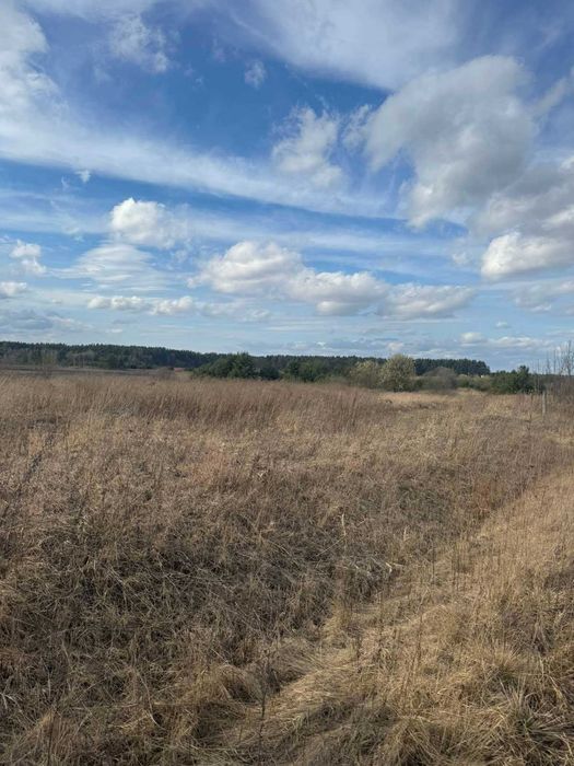 земельна ділянка 30 сот. с. Блищиводи