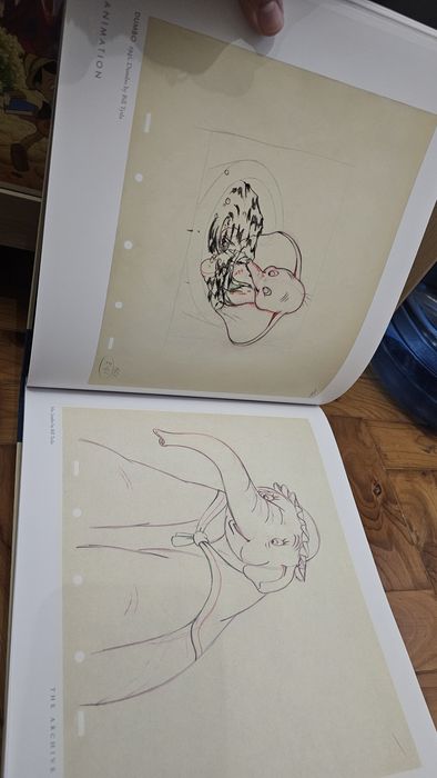 Livro Disney Animation