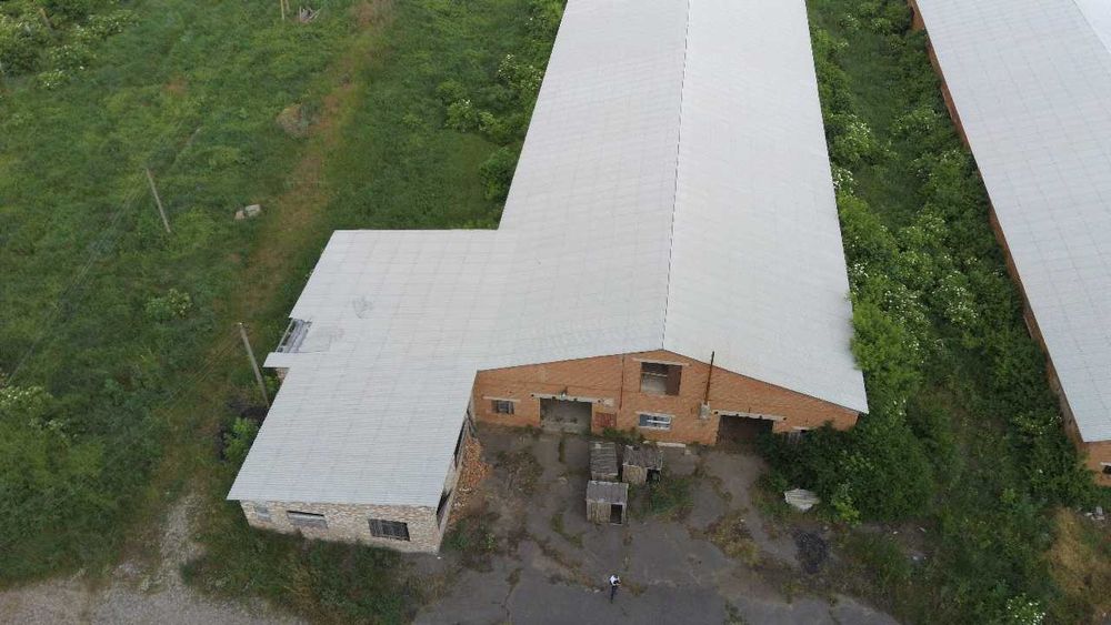 Комплекс для відгодівлі ВРХ. 25905.5 м2