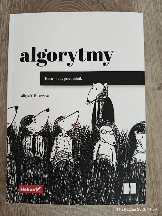 Algorytmy ilustrowany przewodnik Aditya Y. Bhargava
