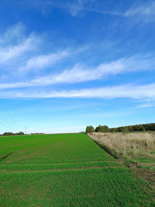 Działka rolno-budowlana w cichej okolicy - Widok 2