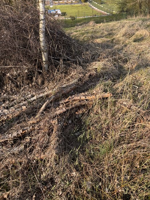 Oddam galezie i drewno!