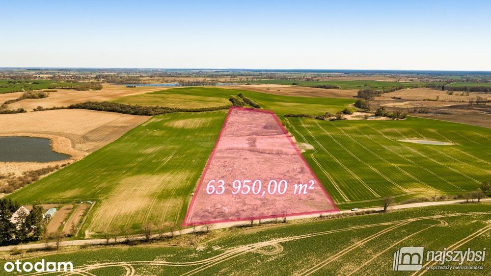 Niesułów-Działka Rolna 6,39 Ha Klasa III