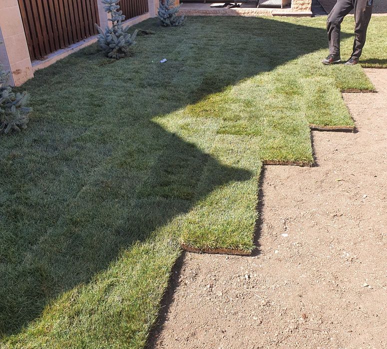 Ландшафтный дизайн