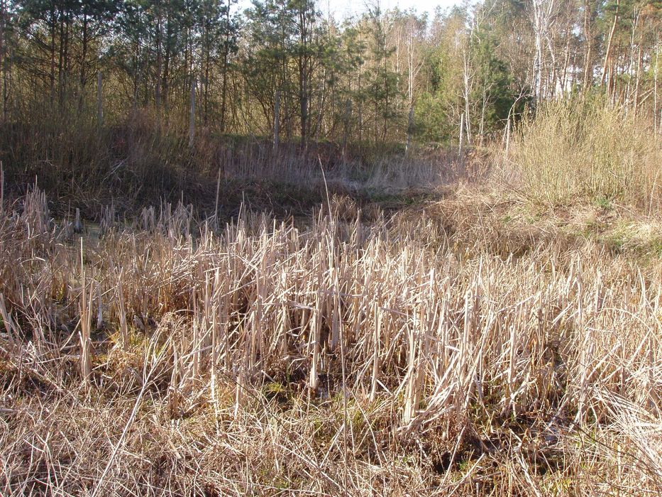 Zdjęcie 2