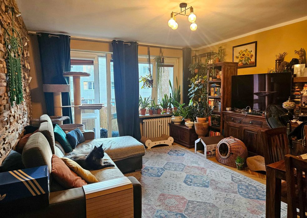 2+1 daire, 51 m²