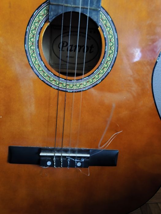 Guitarra clássica parrot