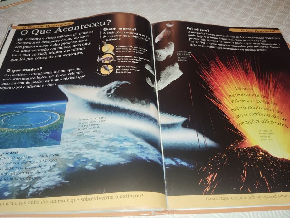 Livros de Dinossauros Usados