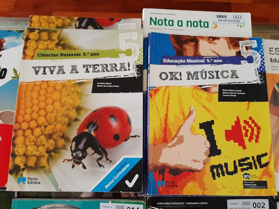 Diversos Manuais/Cadernos de actividades do 5° Ano.