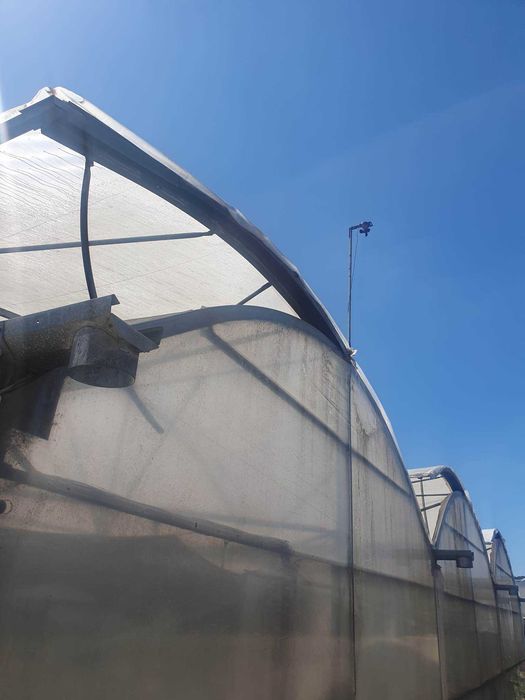 Estruturas de Estufas Modelo RICHEL 1000m2