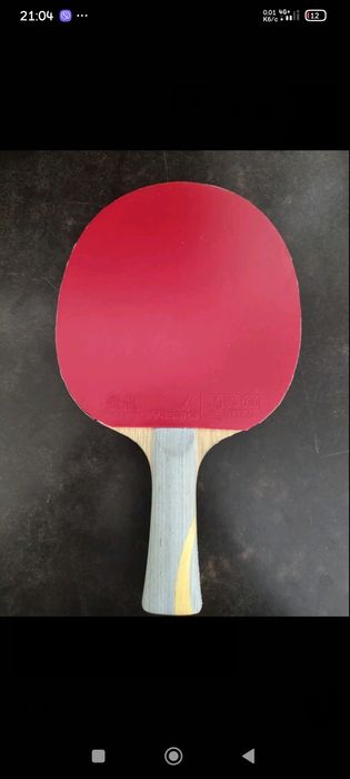 Personal blade Fan Zhendong W968  treaning + rubber