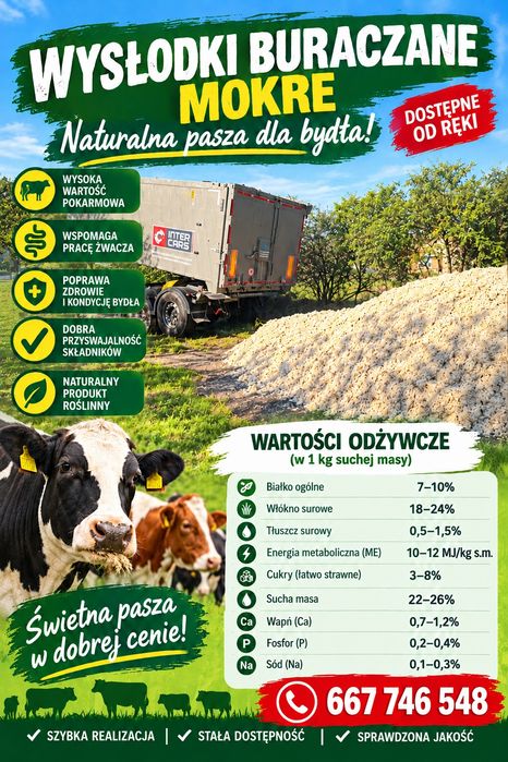 Wysłodki buraczane świeże, szybkie terminy realizacji
