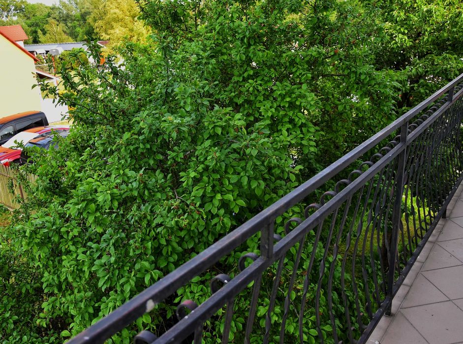 Pokoje blisko morza WICIE, dom wypoczynkowy JASKÓŁKA