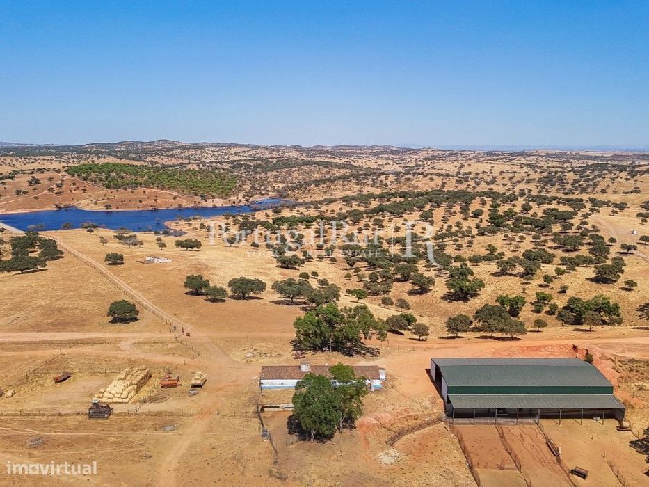 Herdade com 700 hectares no Alentejo