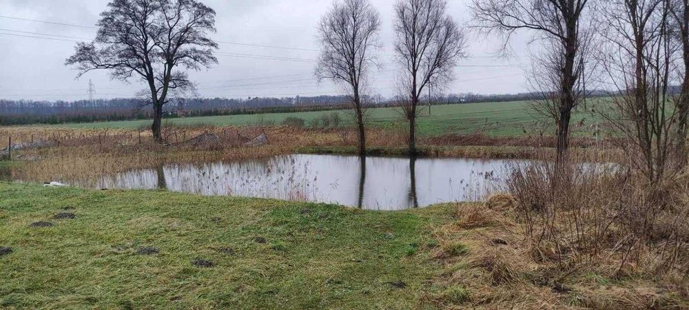 Noclegi, pokoje gościnne do wynajęcia