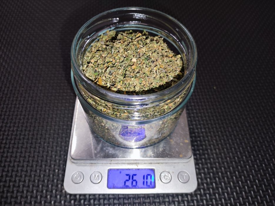 25 gramów przetartych topów konopi Indoor pure CBD Mohito 21%