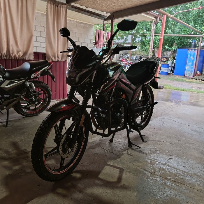 Мустанг фортуна 150