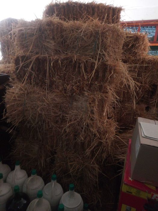 Fardos de palha para venda